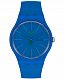 Swatch BELTEMPO SO29N700
